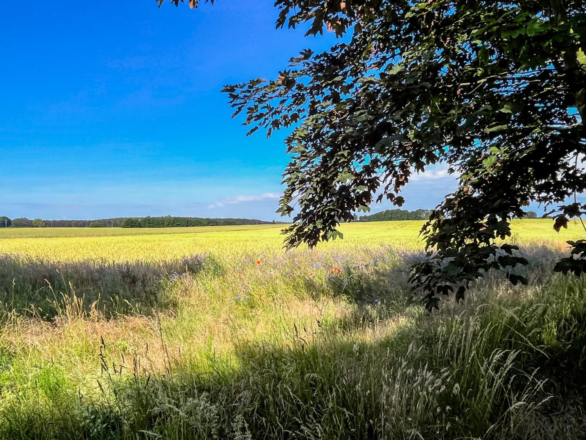Apartmán Lerchenhof In Reestow Exteriér fotografie