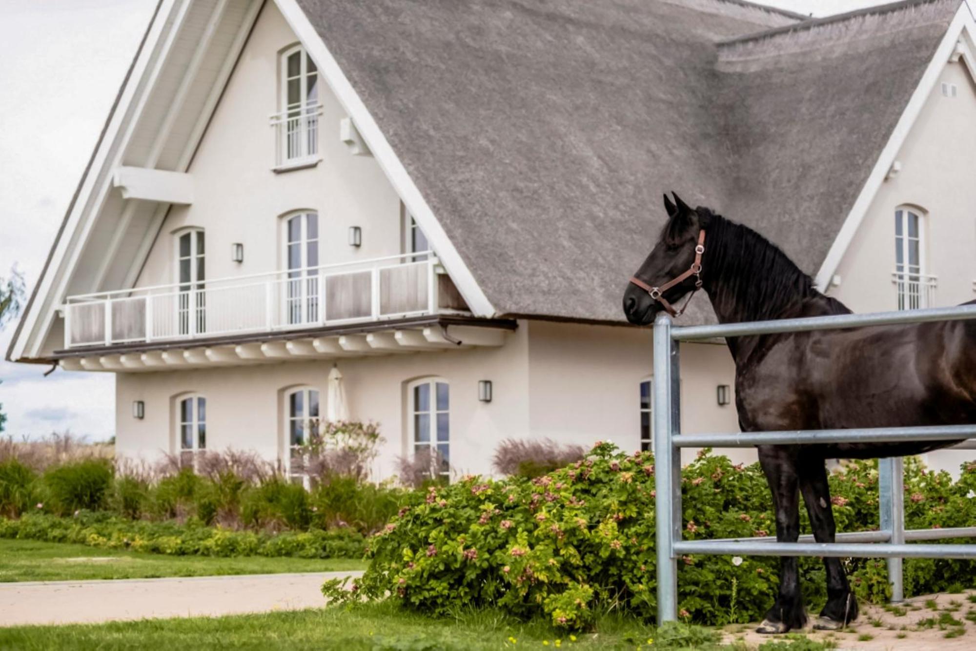 Apartmán Lerchenhof In Reestow Exteriér fotografie
