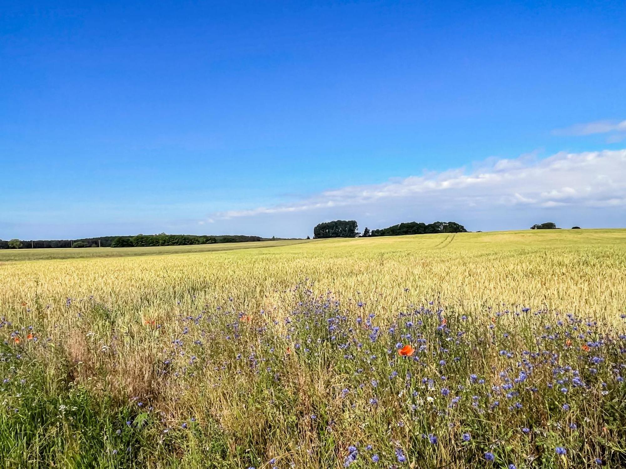 Apartmán Lerchenhof In Reestow Exteriér fotografie